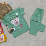 تیشرت شلوارک DENIZ خرس گلدوزی سبز- نی نی استار