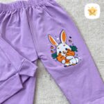 تیشرت شلوارک دخترانه برند DENIZ خرگوش و هویج مناسب 2 تا 6 سال 3 - نی نی استار